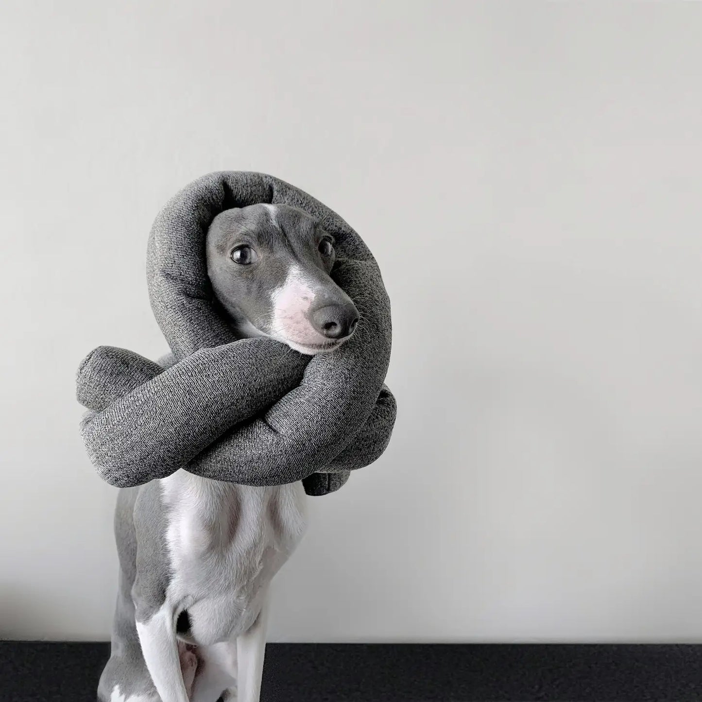 Nou Charcoal with Crinkle Clusters Enrichment Dog Toy