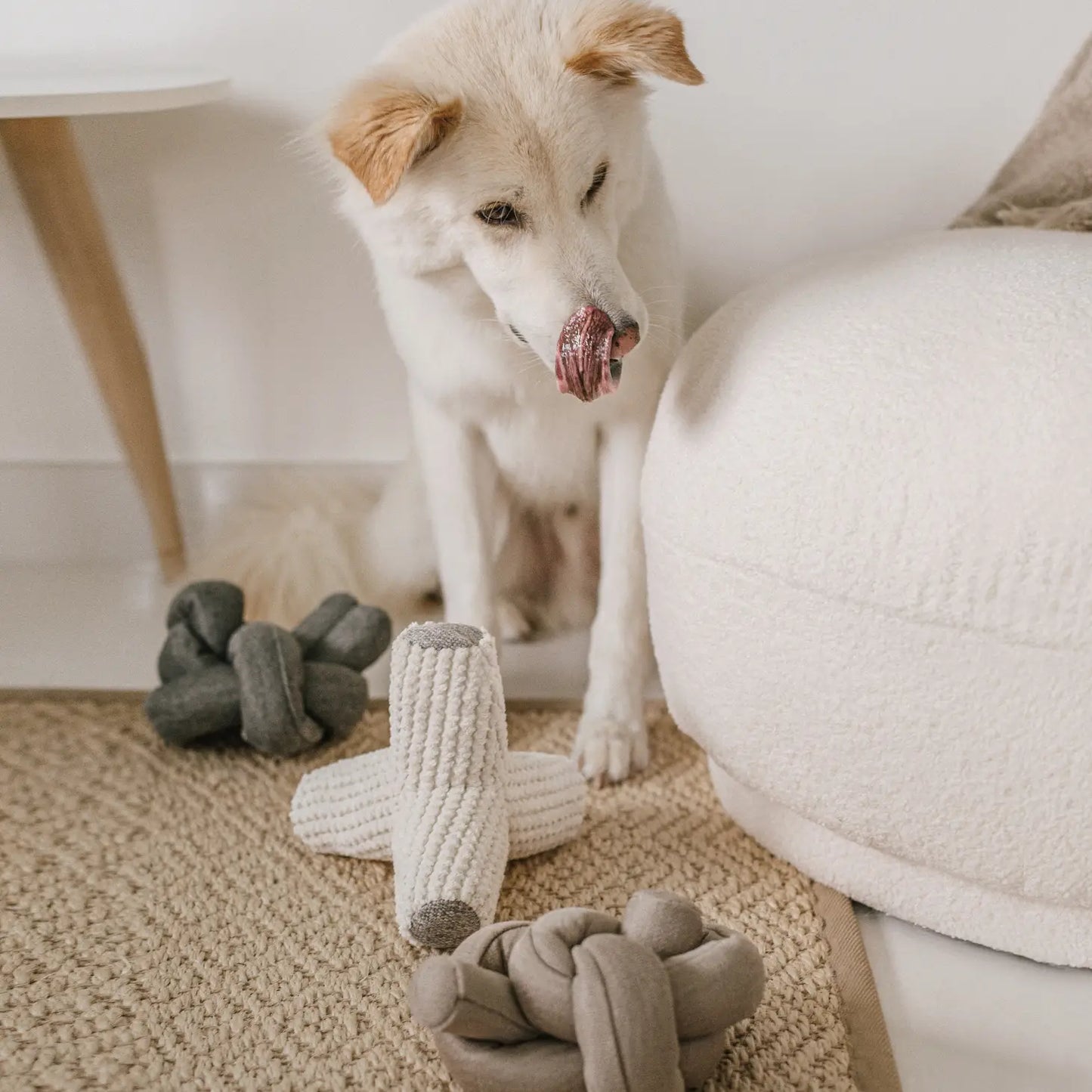 Nou Charcoal with Crinkle Clusters Enrichment Dog Toy