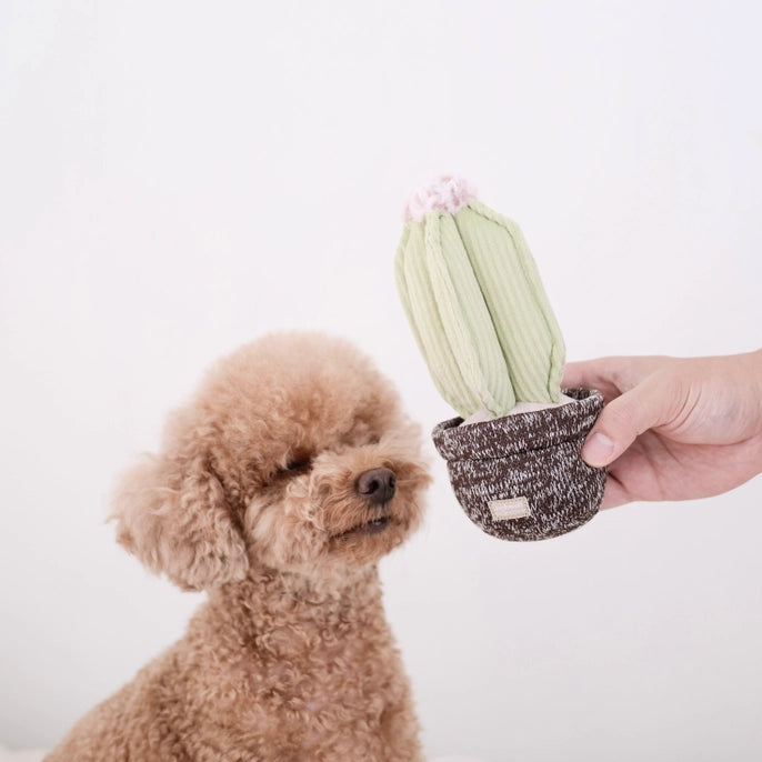 Cactus Enrichment Dog Toy