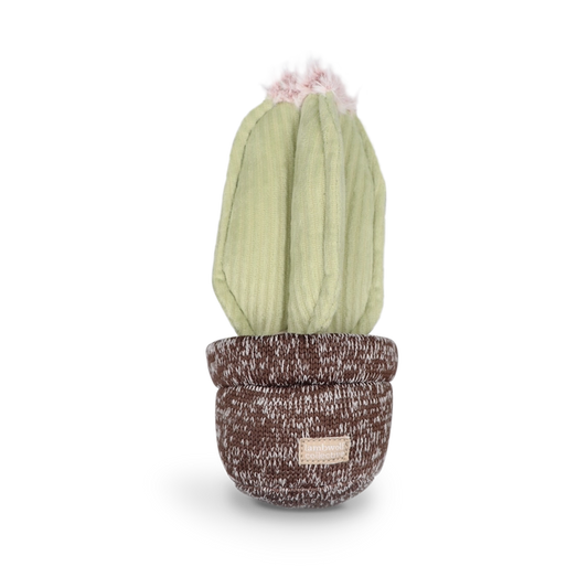 Cactus Enrichment Dog Toy