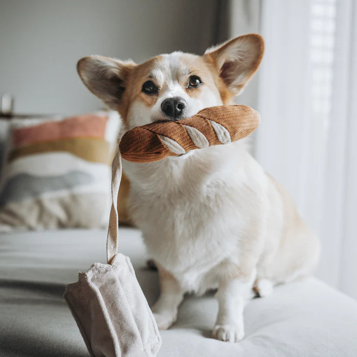 Baguette//Enrichment Dog Toy