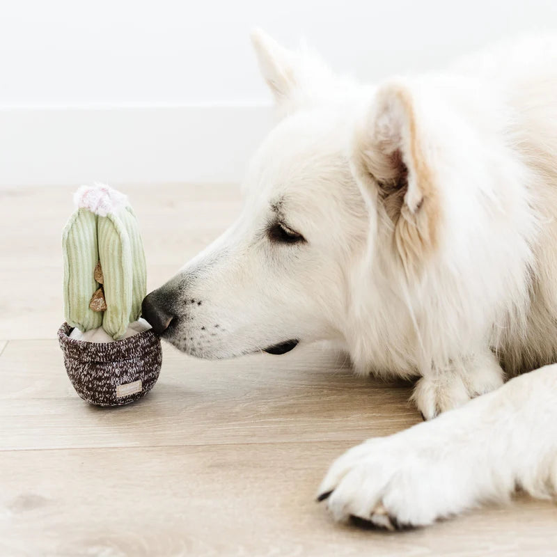 Cactus Enrichment Dog Toy