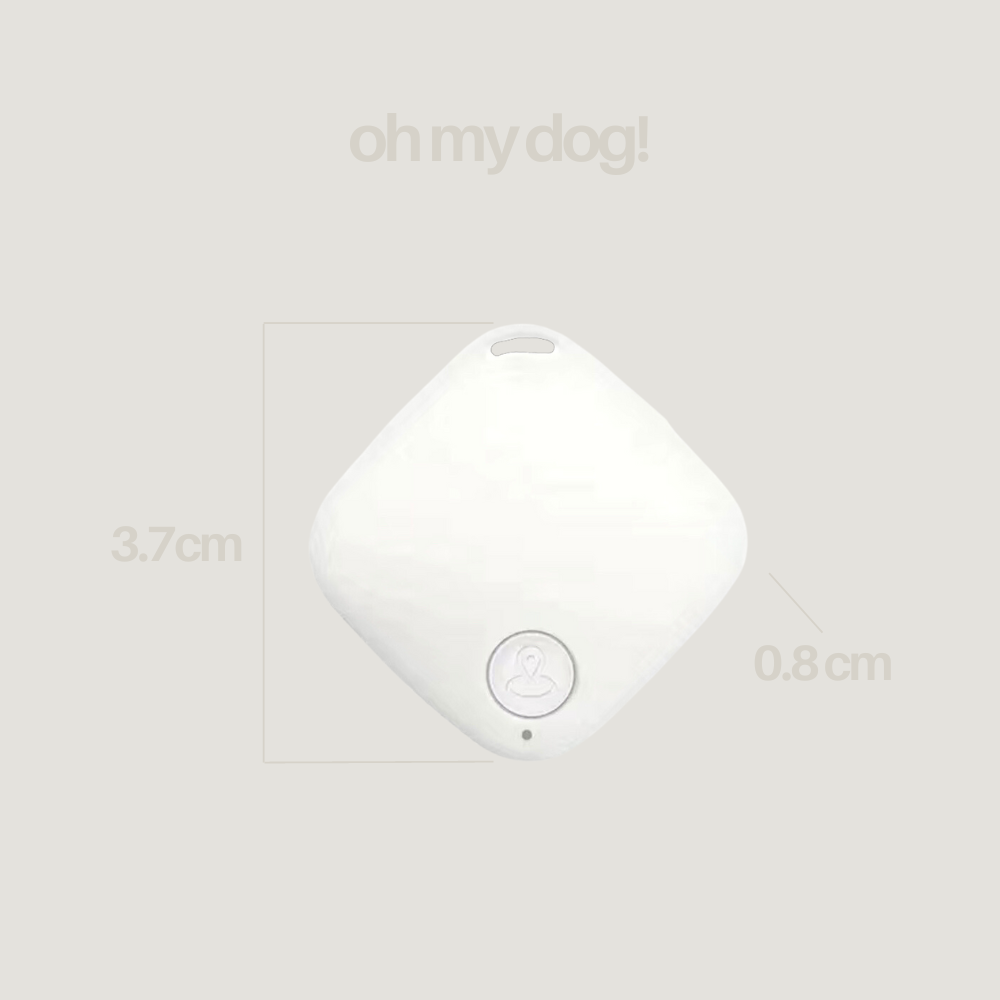 Gps tracker for my dog sale
