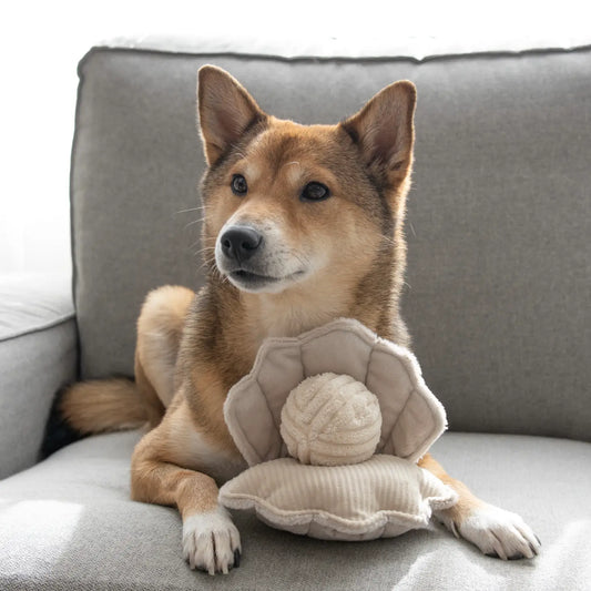 Oyster Pop Enrichment Dog Toy