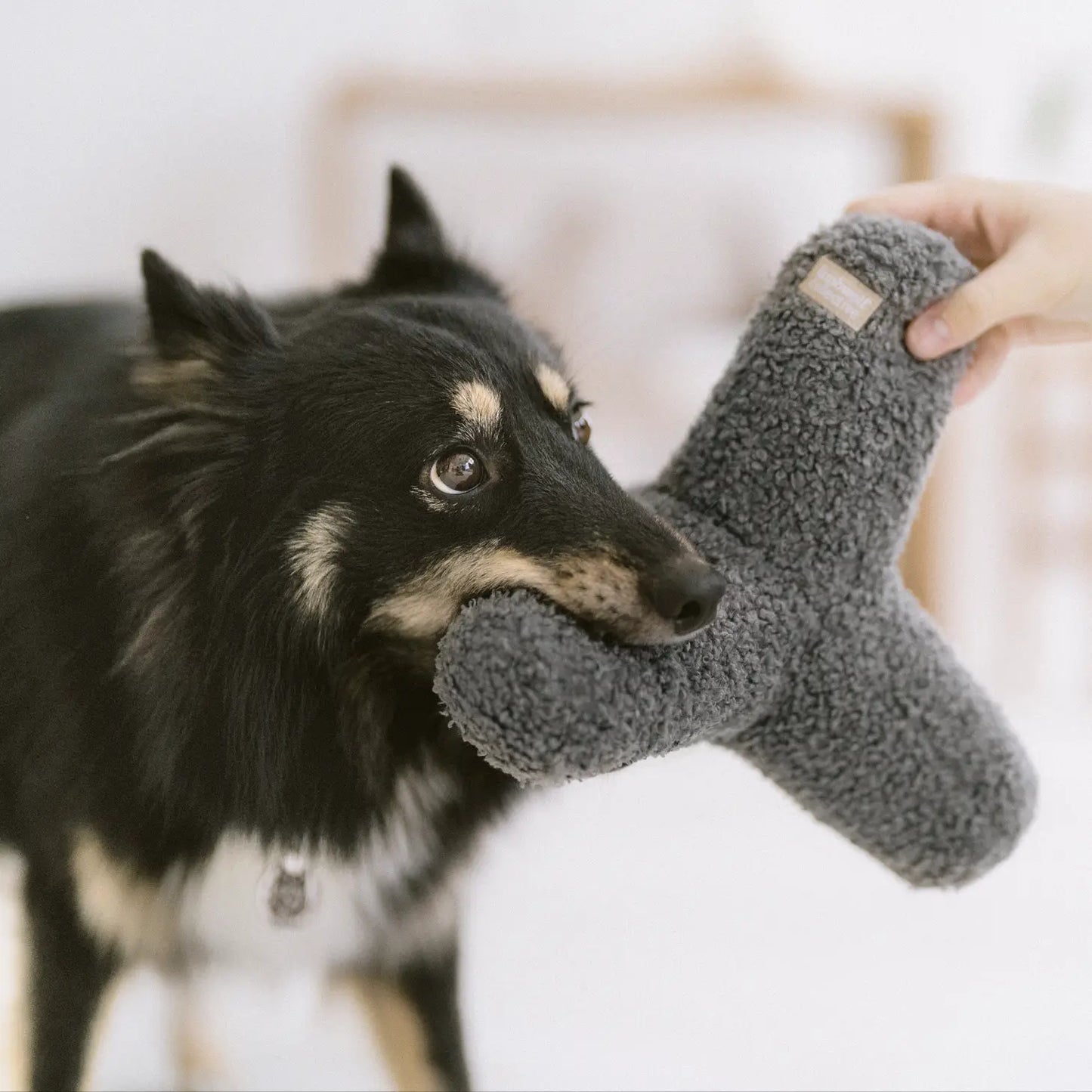 O Breuer Oversized Dog Toy